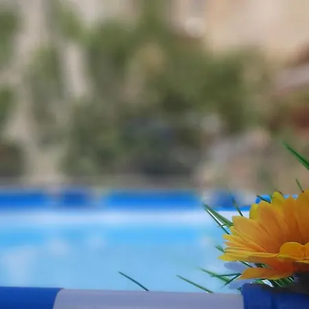 Il Giardino Segreto One Only Bed & Breakfast